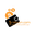 1irstcoin