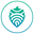 Acorn Collective