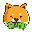 Baby Doge Cash
