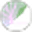 Cabbage
