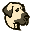 Kangal