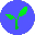 Radicle