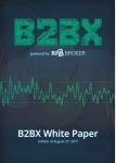 B2B Whitepaper