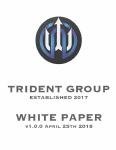 Whitepaper di Trident Group